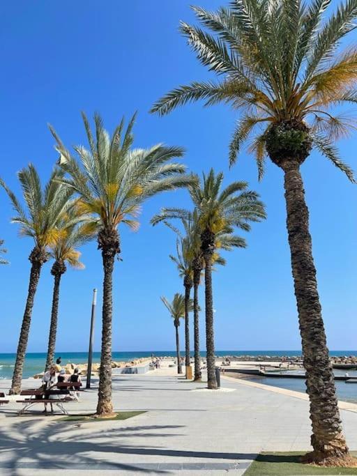 Apartment Playa Del Cura With A Free Parking Place Torrevieja